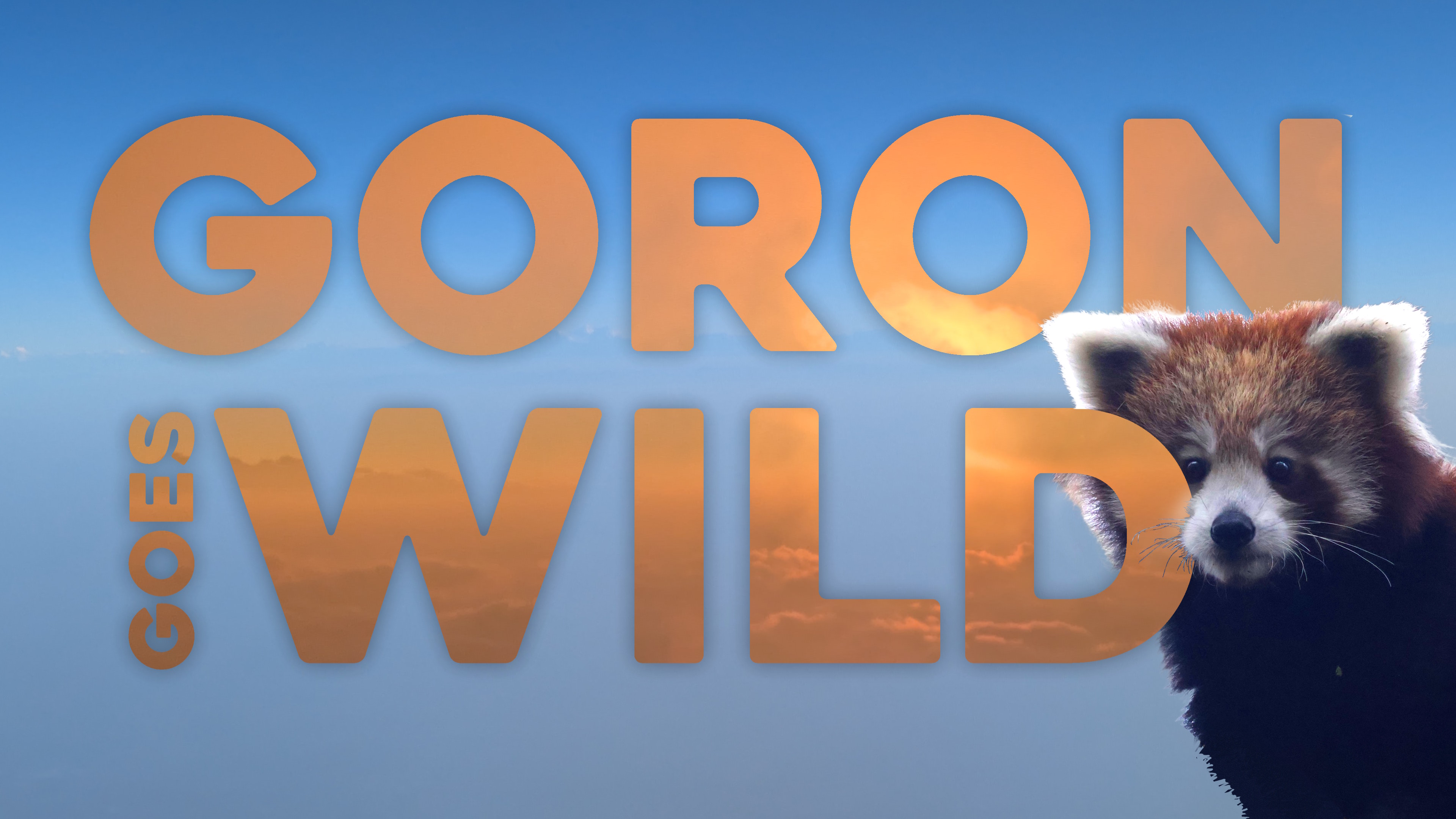 Goron Goes Wild series artwork